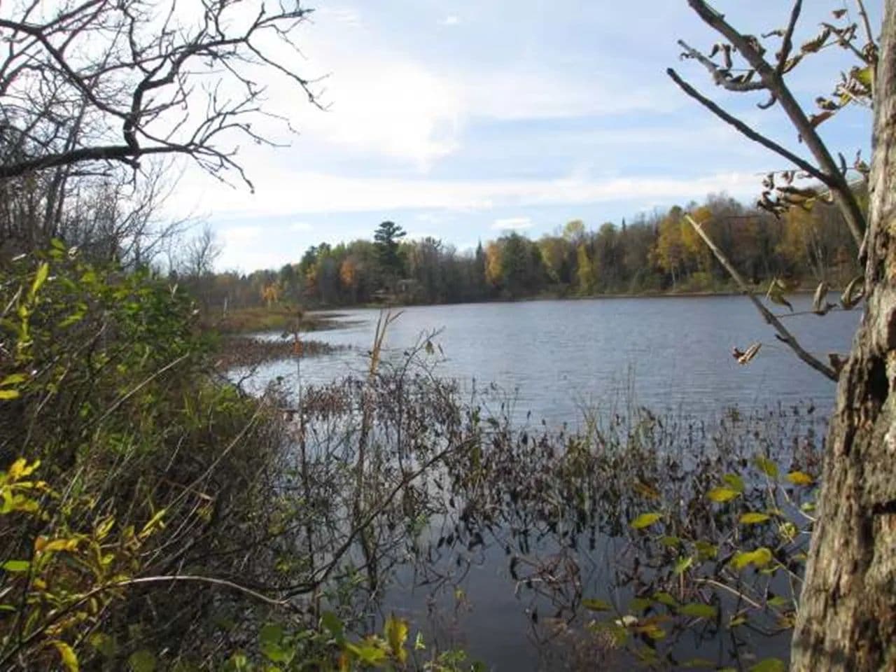 Vacant Land in Mercer - Mercer, Wisconsin, 54547