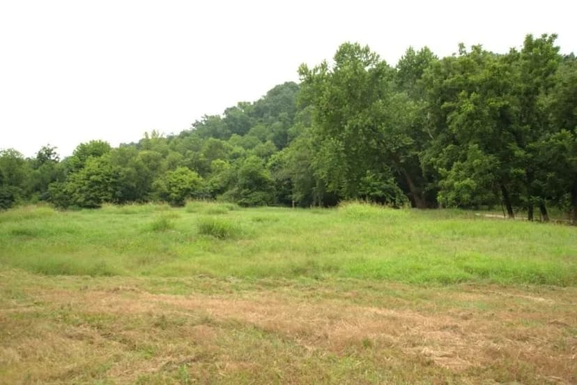 Vacant Land in Noel