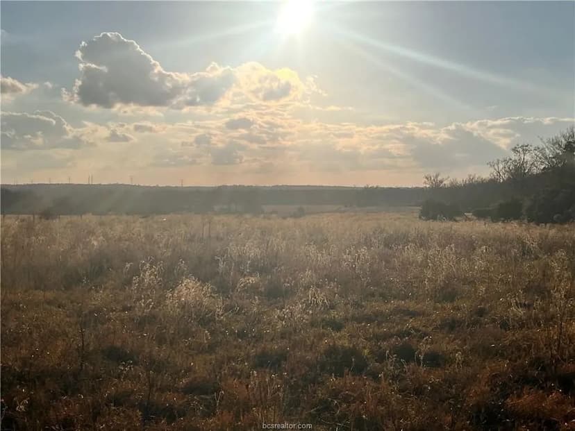 Property from 307 ACRES TBD Fm-1469 - KW