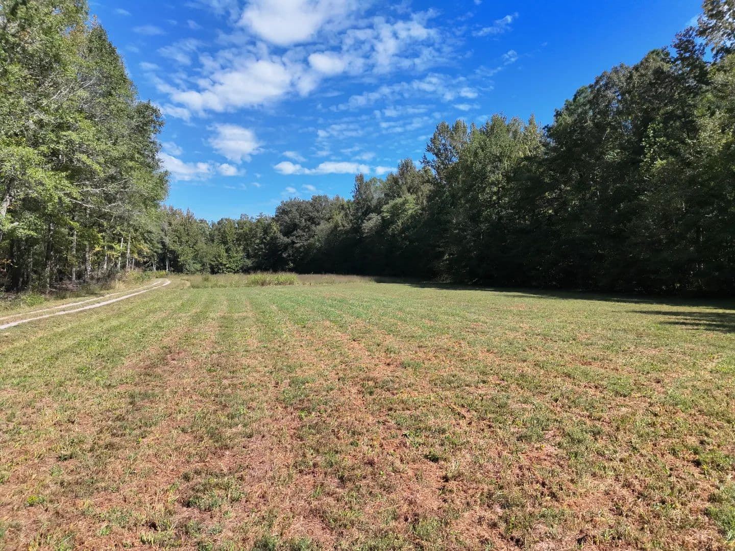 13.5 Acres with an Off-Grid Cabin in Hardeman County, TN  - Toone, Tennessee, 38381