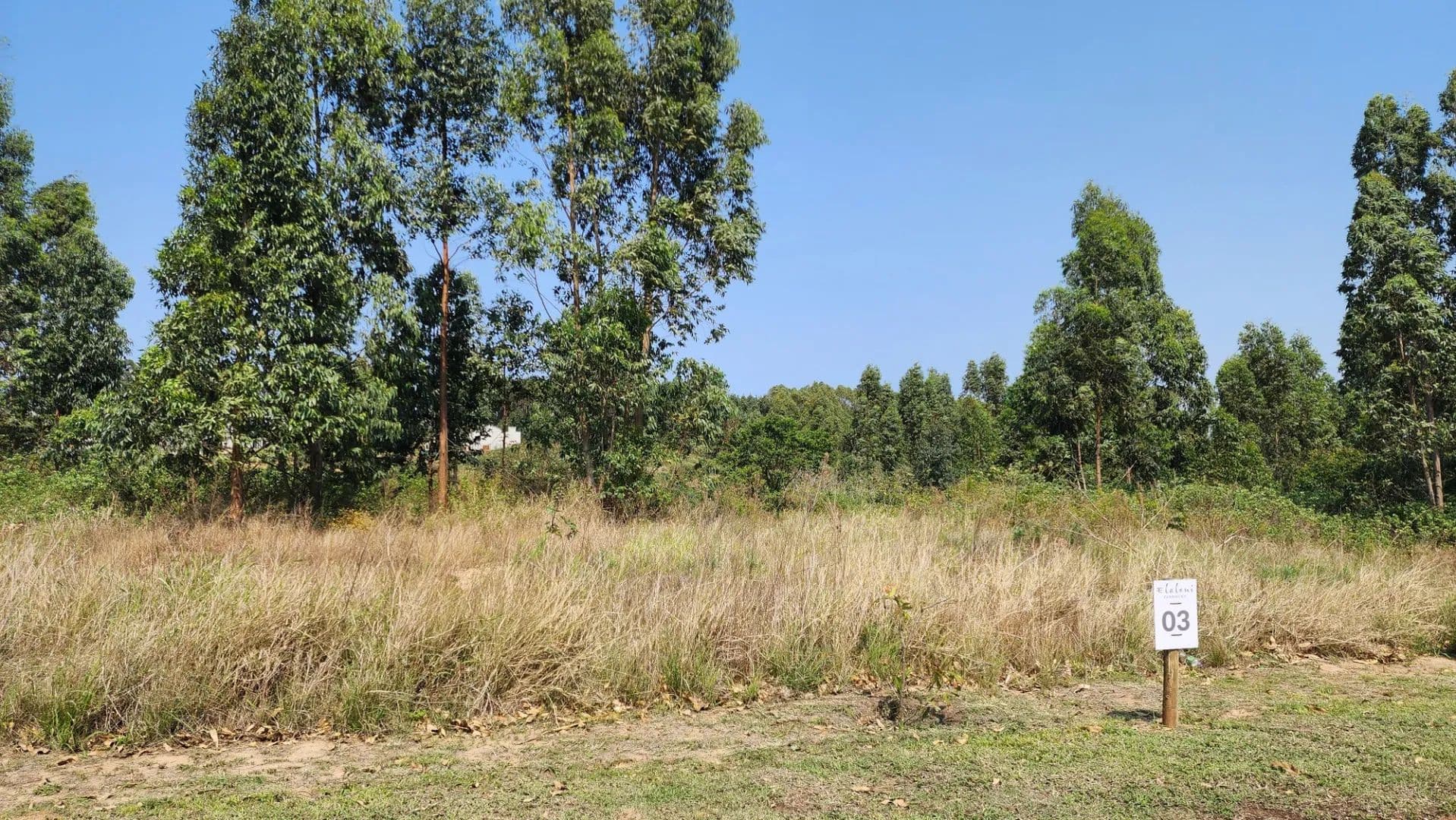 1000 Acres of Land for Sale in Ballito, KwaZulu Natal - land for sale