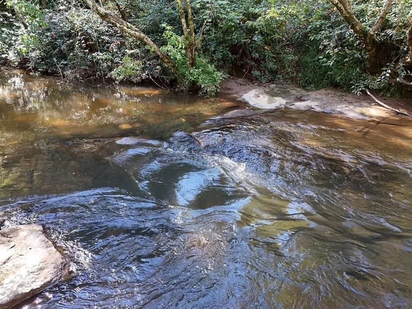 Lots & Land-Other in Mineral Bluff