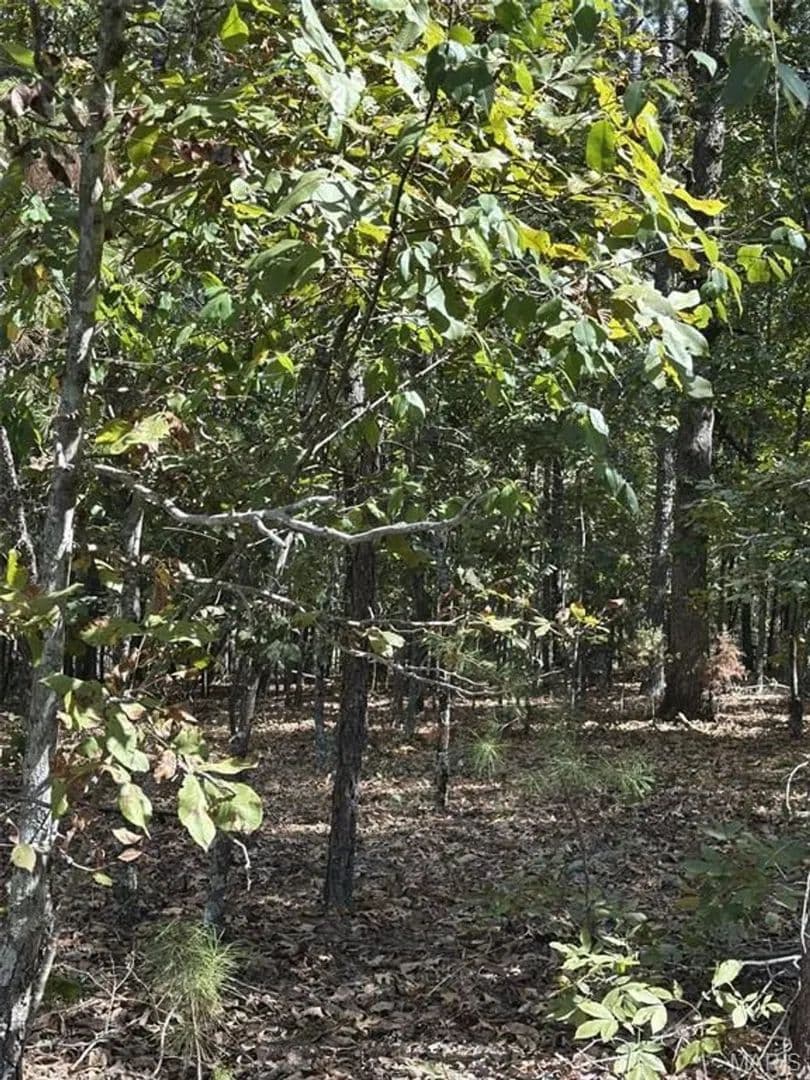 20±AC For Sale in Van Buren, MO - Van Buren, Missouri, 63638