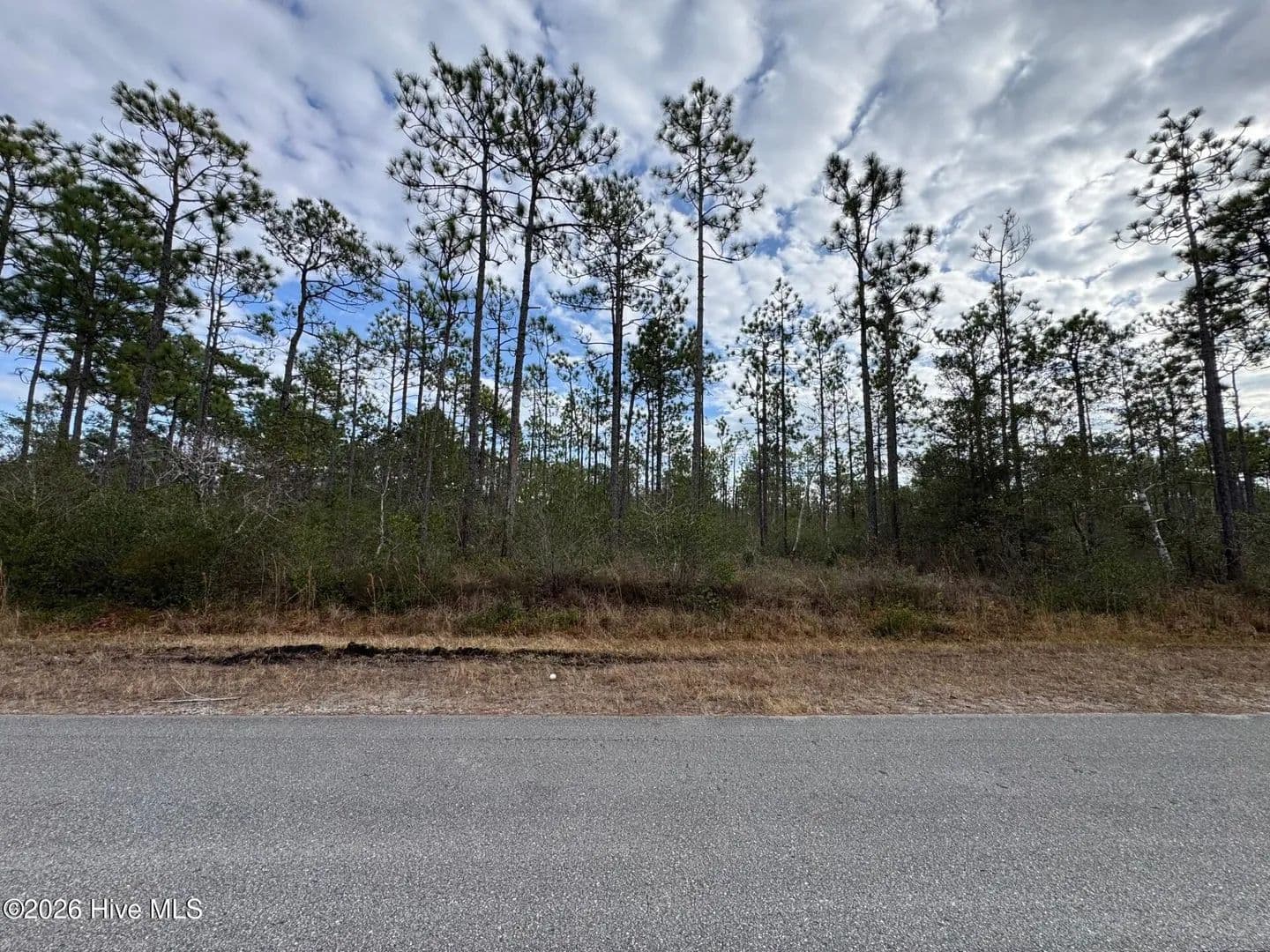 Vacant Land in Southport - Southport, North Carolina, 28461