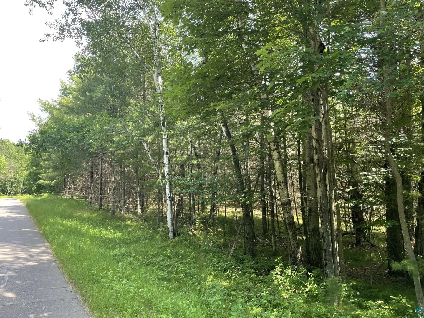 Vacant Land in Iron River - Iron River, Wisconsin, 54847