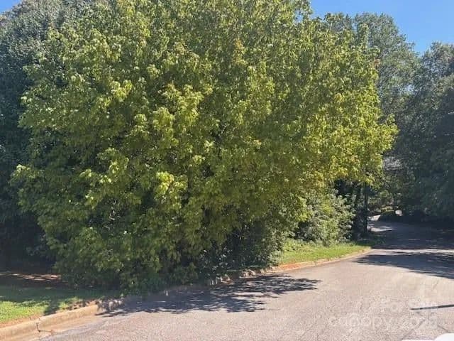 Lots & Land-Other in Hickory