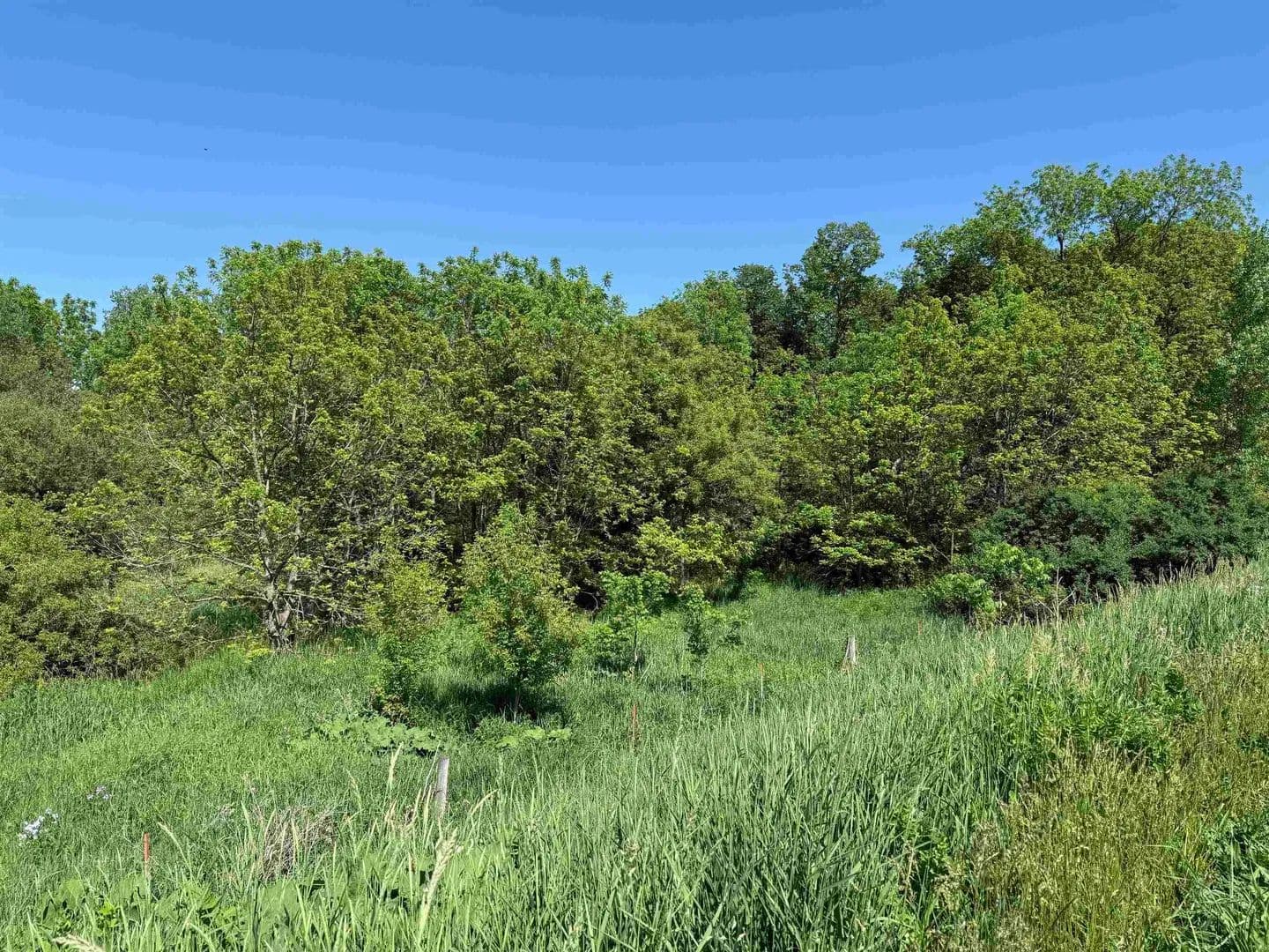4.58 Acres of Land for Sale in Spillville, Iowa - Spillville, Iowa, 52168