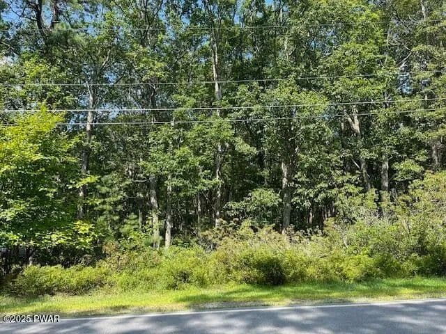 Vacant Land in Lords Valley - Lords Valley, Pennsylvania, 18428