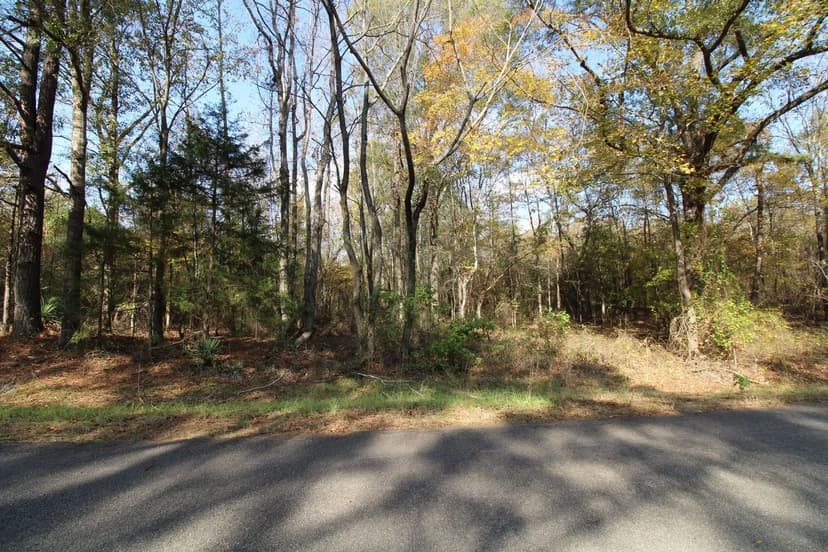 Land -Agricultural (Not Zoned) in Homer