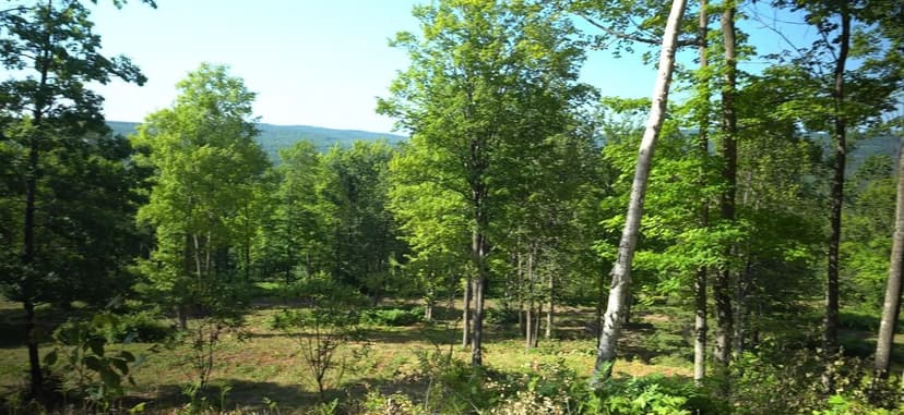 Vacant Land in Bayfield