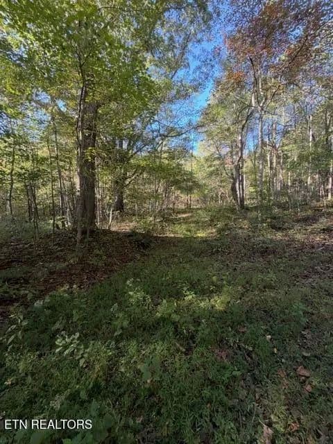 Lots & Land-Other in Ewing