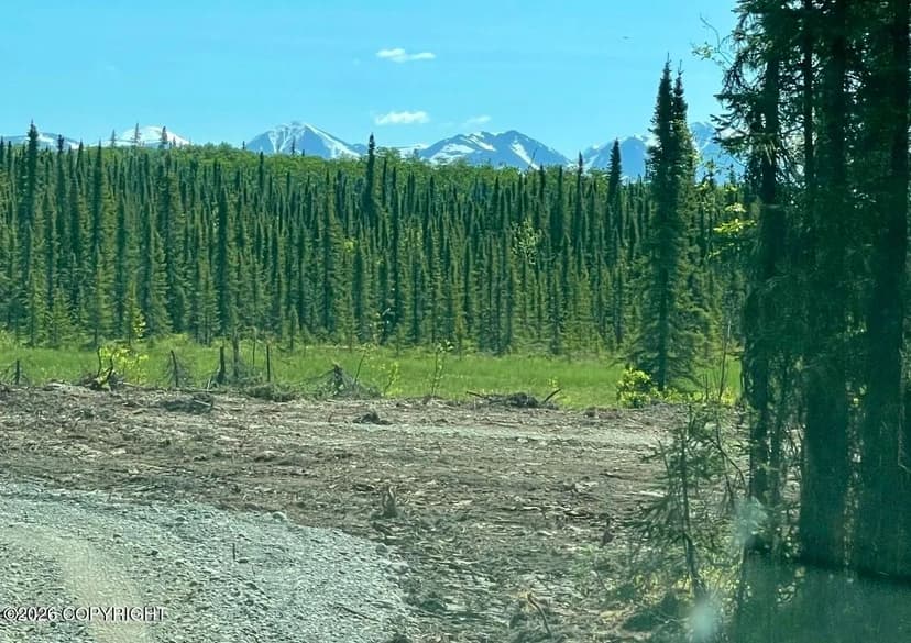 Vacant Land in Soldotna