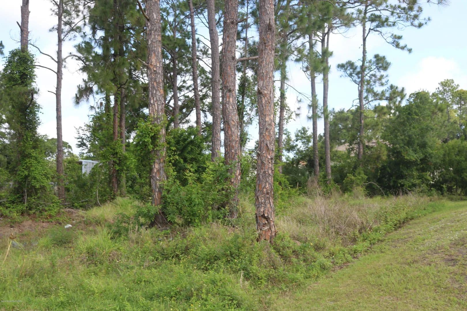 Property from 1531 Walker Street SE - KW - Palm Bay, Florida, 32909