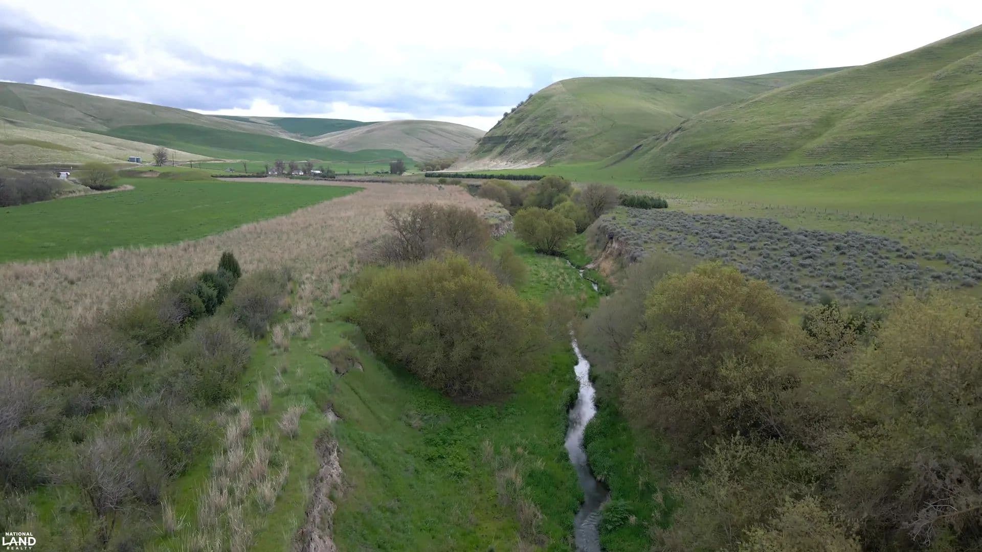 Cattle and Farm Ranch - Pomeroy, Washington, 99347