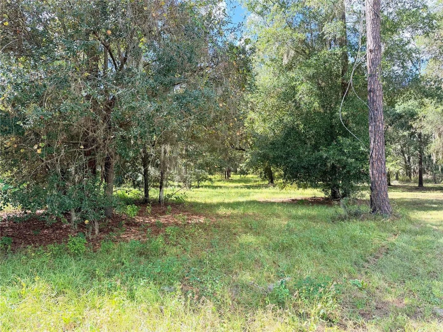 Lots & Land-Other in GROVELAND - Groveland, Florida, 34736