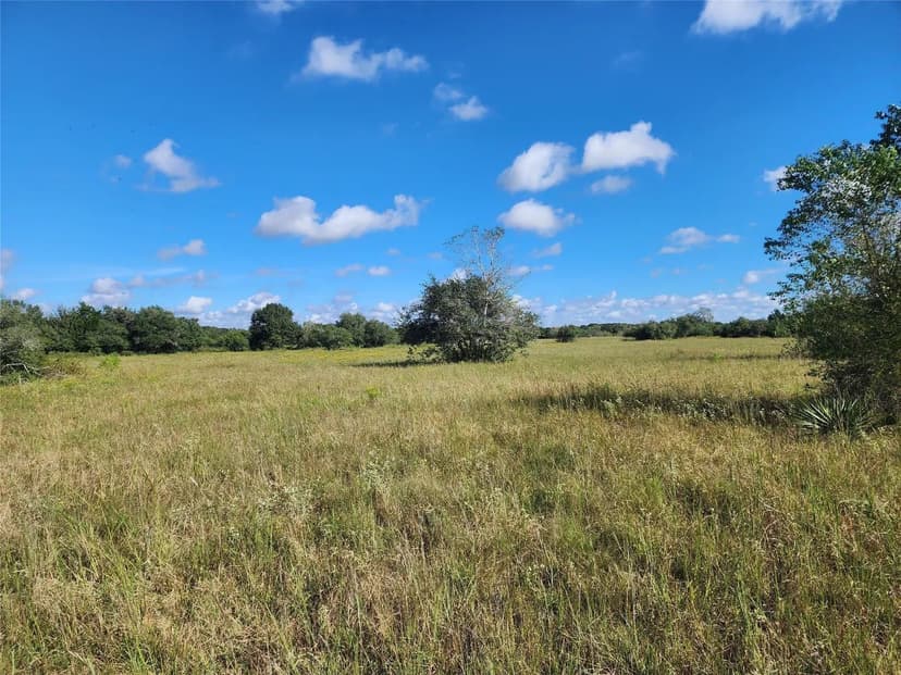 Property from 000 Fm 445 S - KW