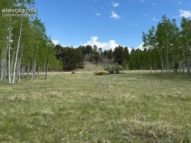 1.2 Acres of Land for Sale in Florissant, Colorado - Florissant, Colorado, 80816