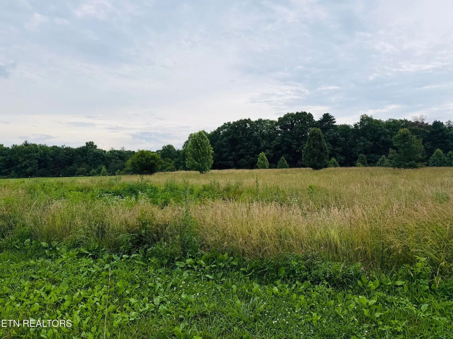 Property from 9.8 Acres Tyler Tr - KW - Jamestown, Tennessee, 38556