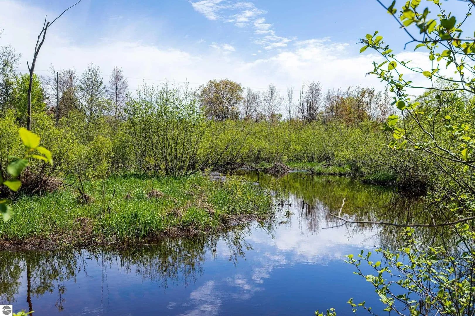 Vacant Land in Kaleva - Kaleva, Michigan, 49645