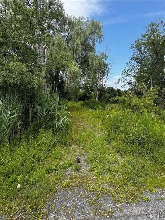 Property from 6393 Fremont Road - KW