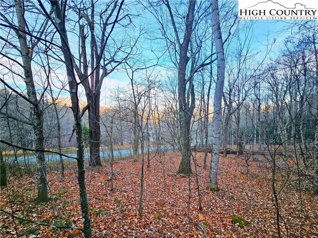 Vacant Land (0-10 Acres) in Todd - Todd, North Carolina, 28684