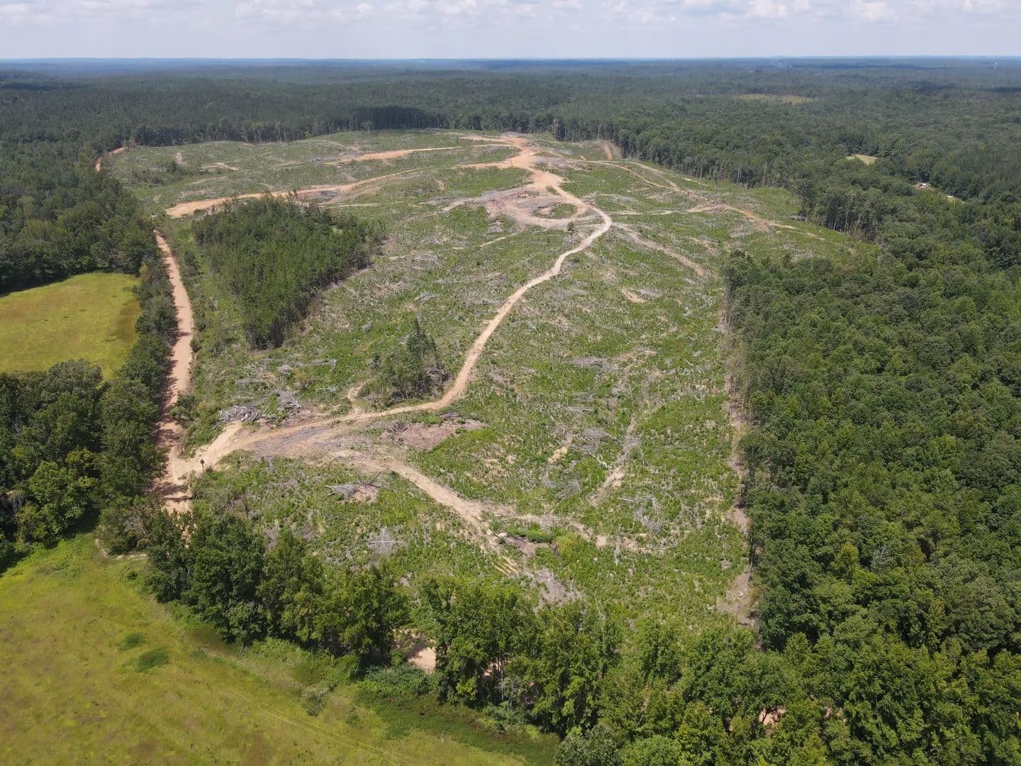 105 Acres in Lafayette County, MS  - Paris, Mississippi, 38949