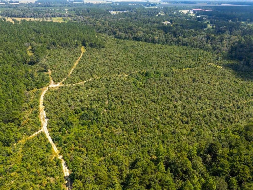 Vacant Land in Deridder - Deridder, Louisiana, 70634