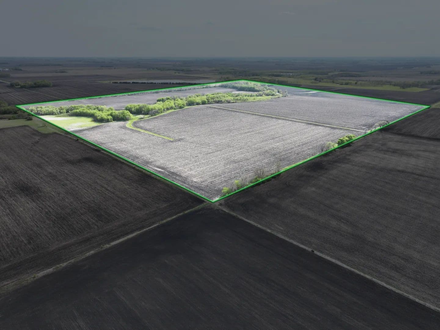 160.00± Acre Farm Sale Faribault County - Minnesota