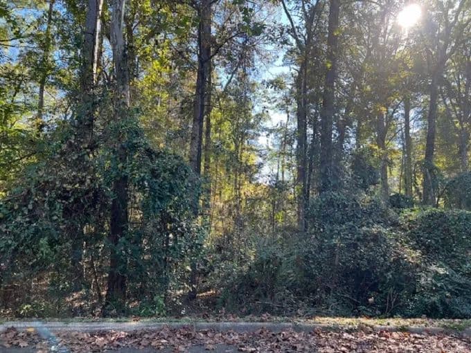 Land -Agricultural (Not Zoned) in Camden - Camden, Arkansas, 71701