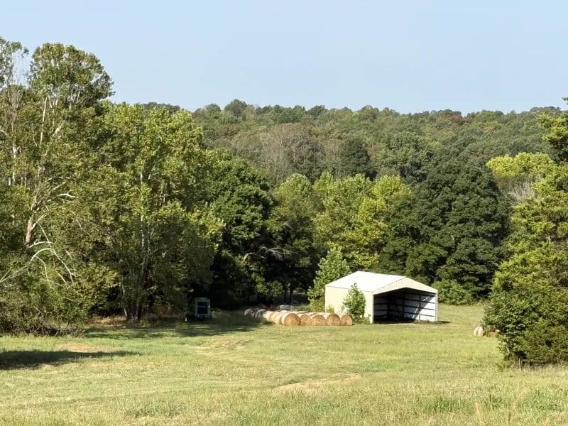 Vacant Land in Ravenden - Ravenden, Arkansas, 72459