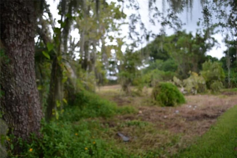 Vacant Land in Interlachen