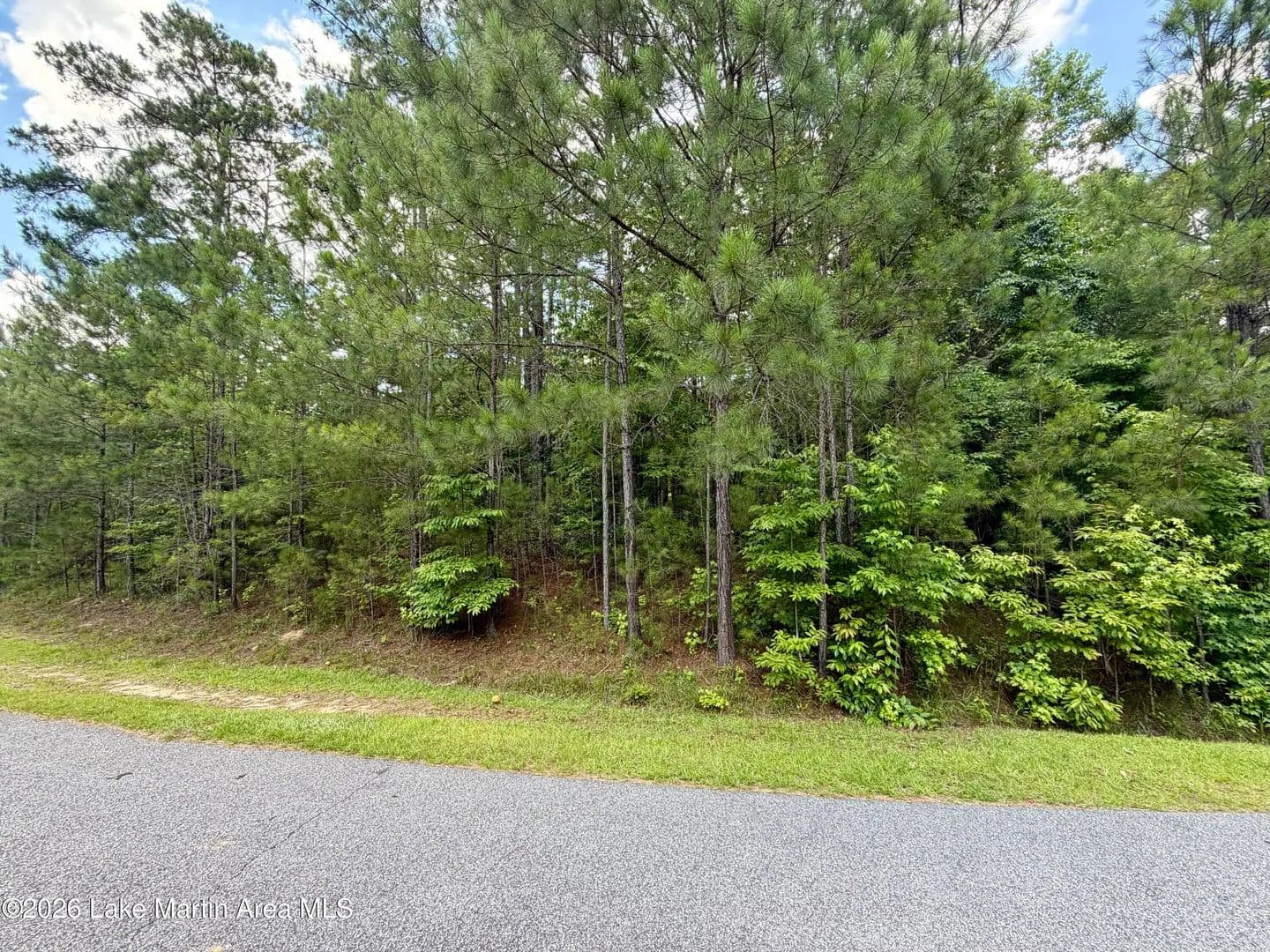 Land for Sale in Alexander City, Alabama - Alexander City, Alabama, 35010