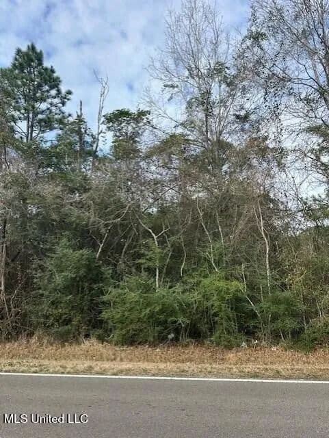 Lots & Land-Other in Gulfport - Gulfport, Mississippi, 39503