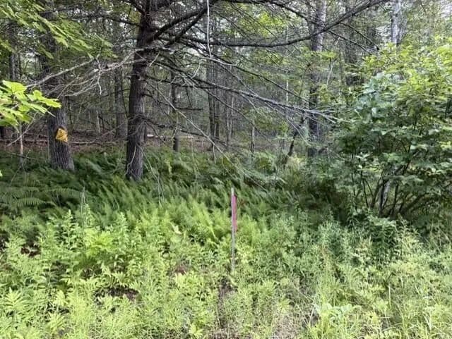 Land -Single Family Acreage in Washington - Washington, Maine, 04574
