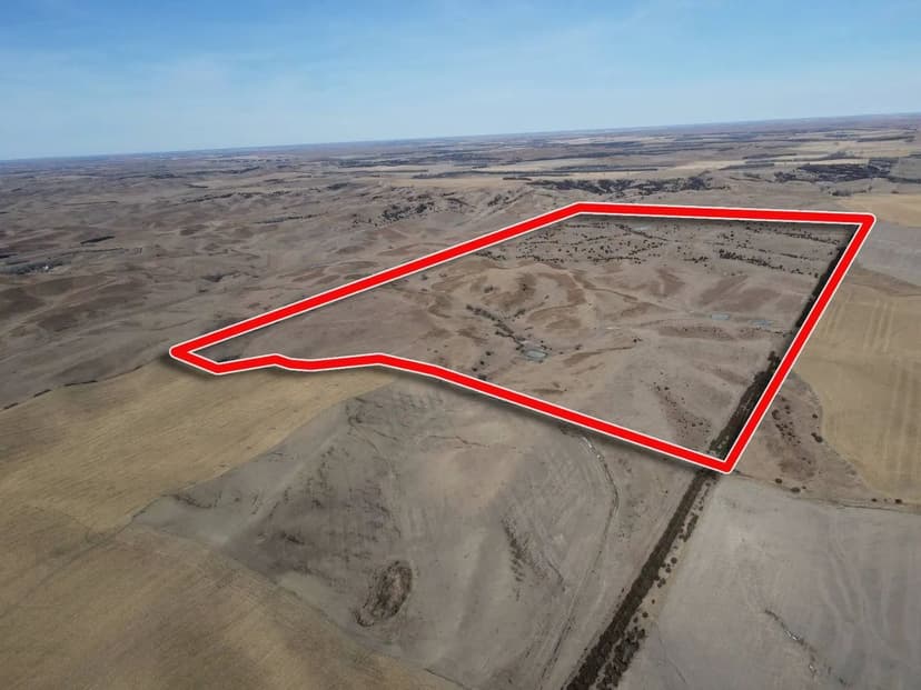 Greeley County Pasture