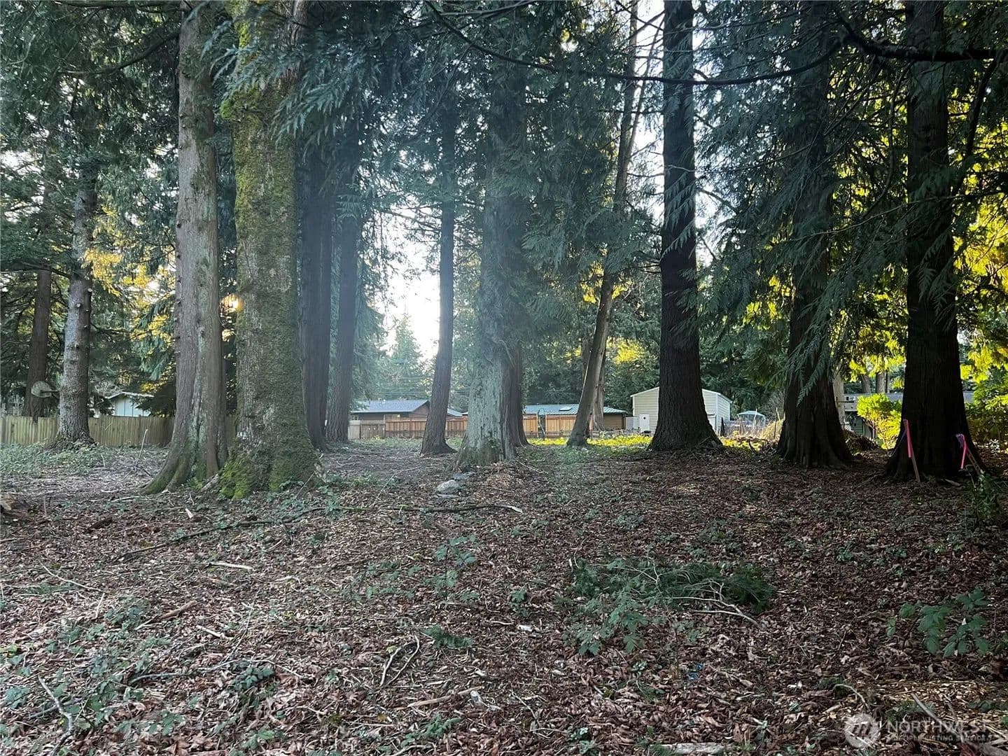 Vacant Land in Bellingham - Bellingham, Washington, 98229