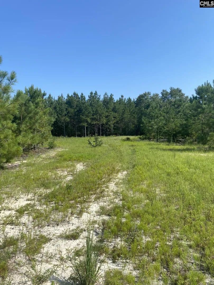 Vacant Land in Bethune - Bethune, South Carolina, 29009