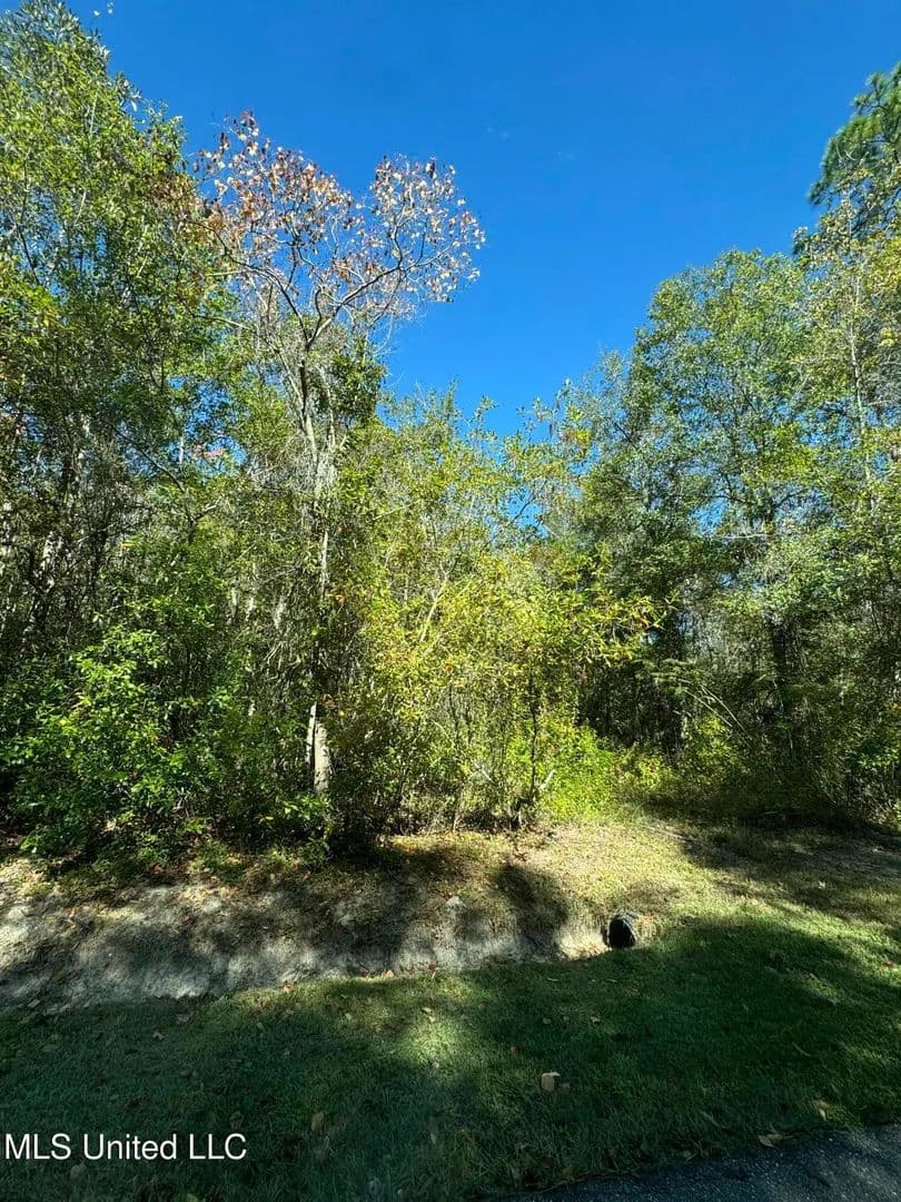 Vacant Land in Bay Saint Louis - Bay Saint Louis, Mississippi, 39520