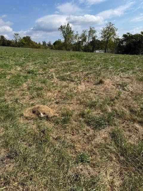 Property from 0 McGovern - KW