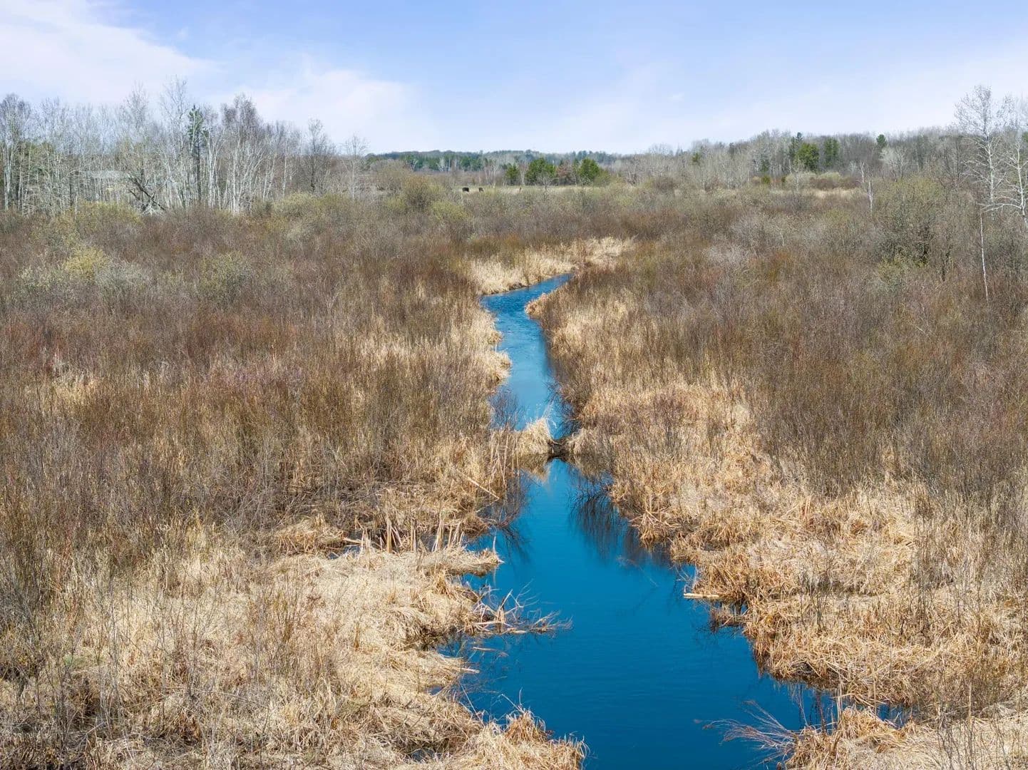 Vacant Land in Pine River - Pine River, Minnesota, 56474