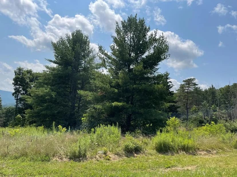 Lots & Land-Other in Towanda