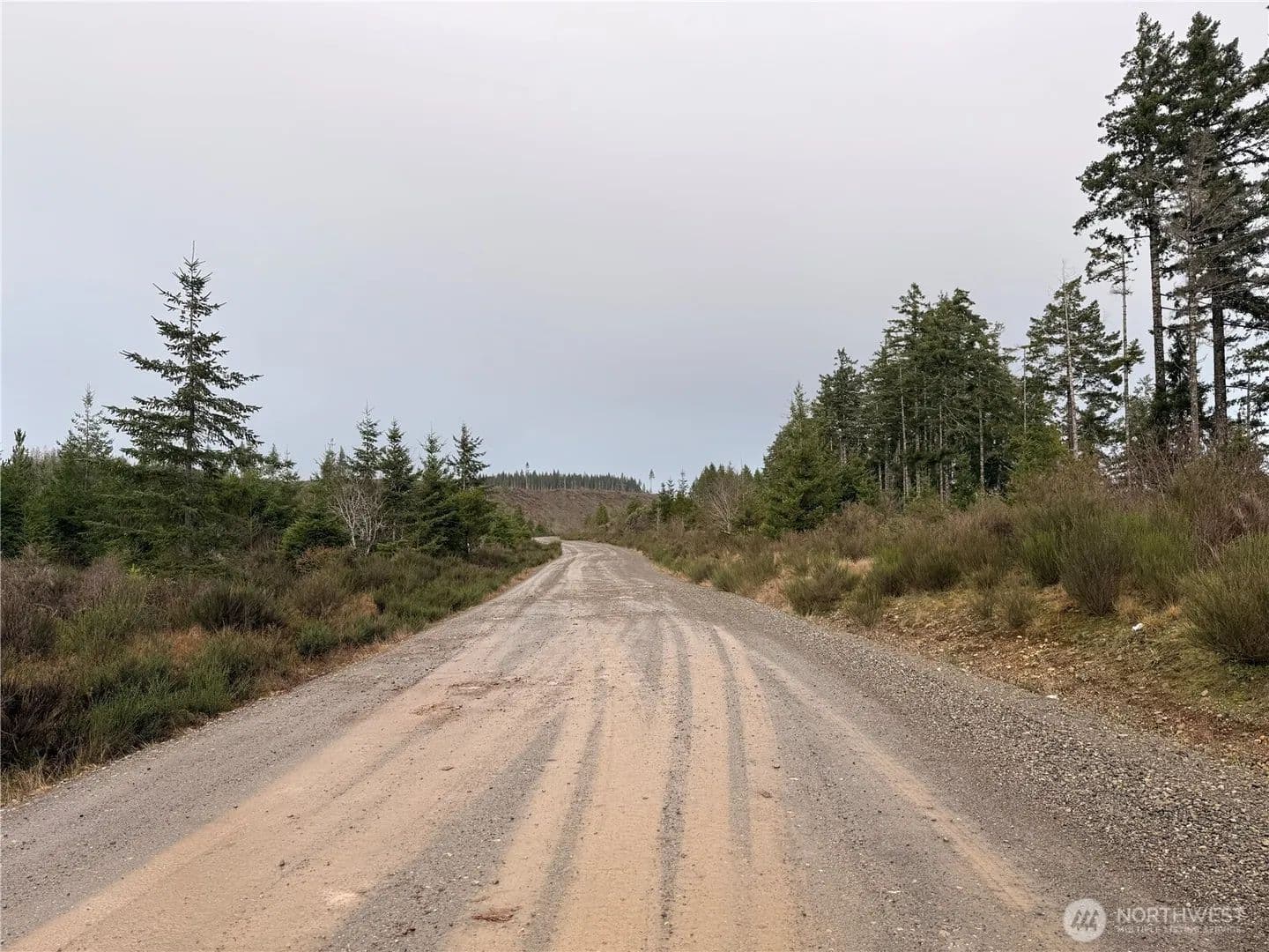 Vacant Land in Shelton - Shelton, Washington, 98584