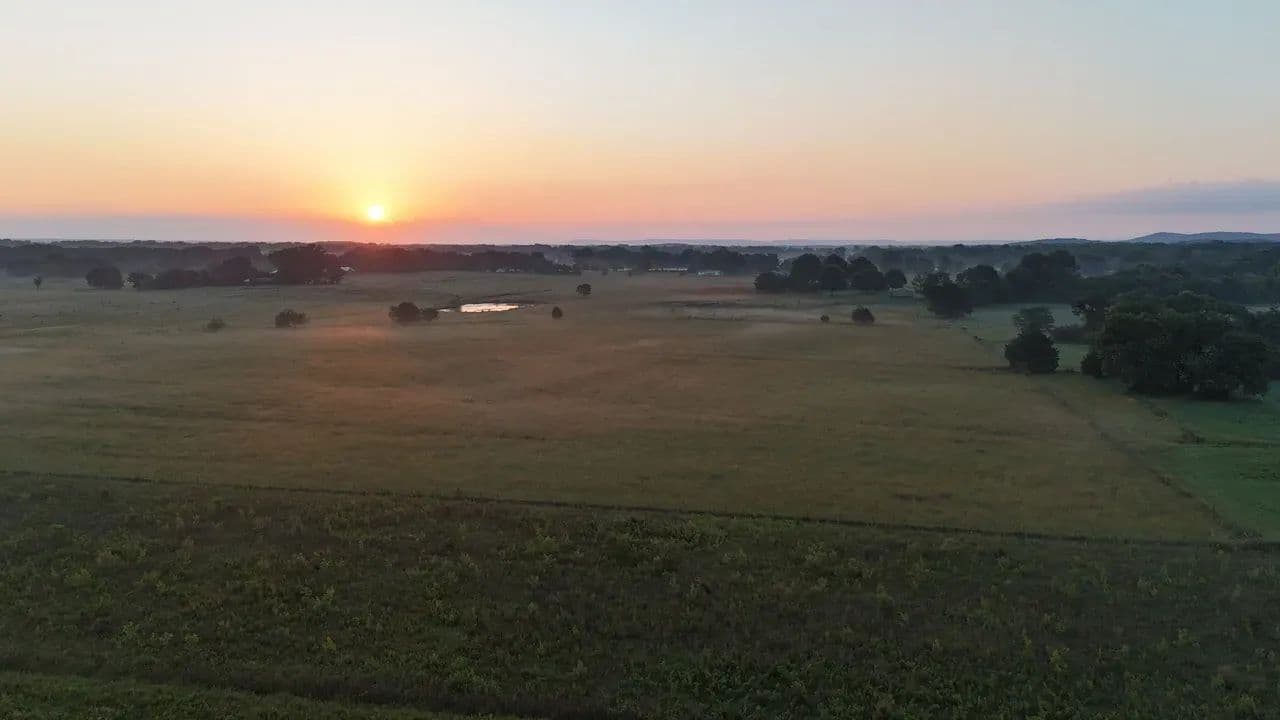 Morgan Co. Alabama 75 acre Established Homestead - land for sale