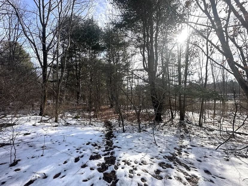 10 acres Hunting Land and Recreational Land in Friendship NY Pigtail Road