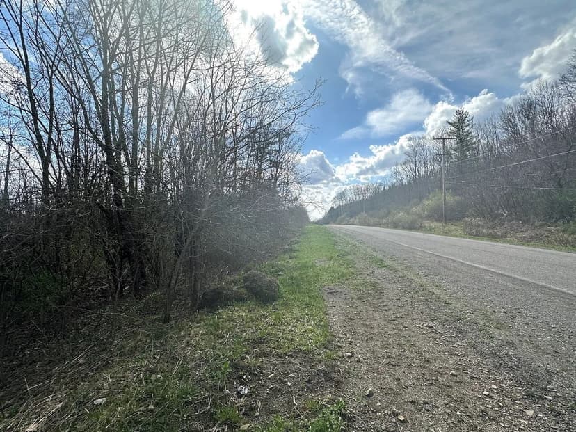 10 acres Hunting Land and Recreational Land in Friendship NY Pigtail Road