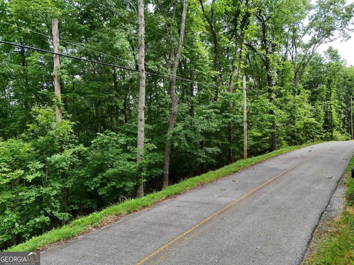 1.53 Acres of Land for Sale in Blue Ridge, GA - Blue Ridge, Georgia, 30513