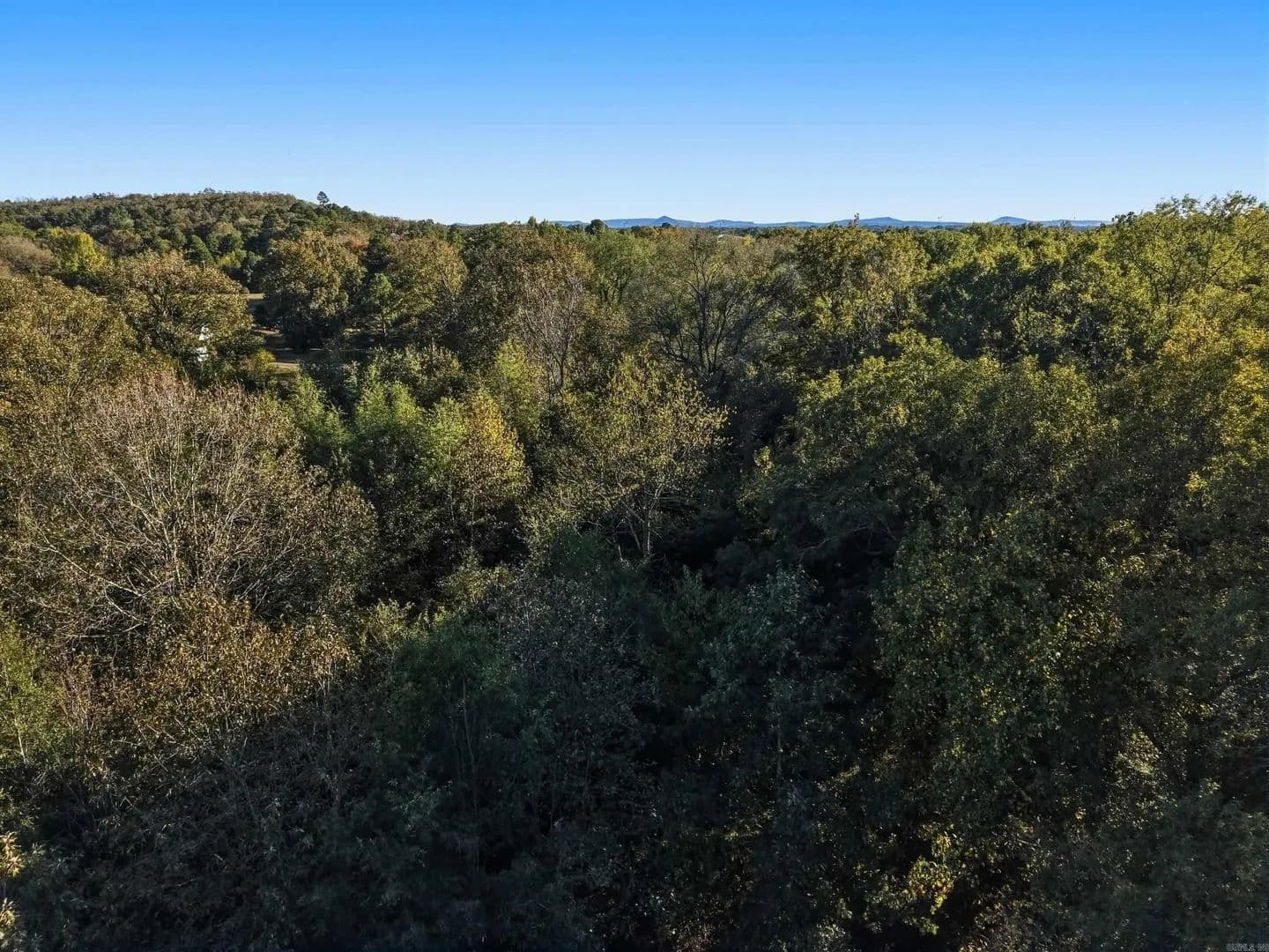Lots & Land-Other in Mayflower - Mayflower, Arkansas, 72106