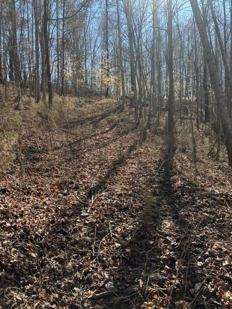 24.33 Acres with a Home in Bledsoe County, TN 