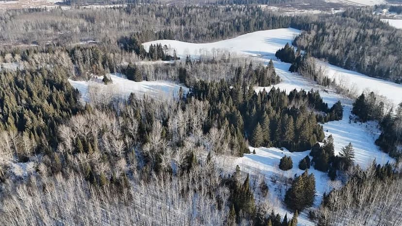 Vacant Land (10+ Acres) in Wawina