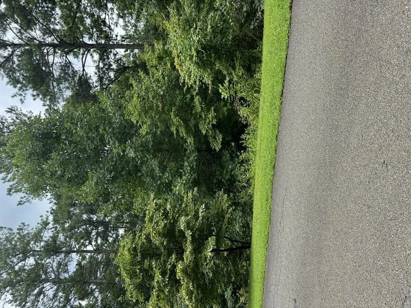 Lots & Land-Other in Ellijay